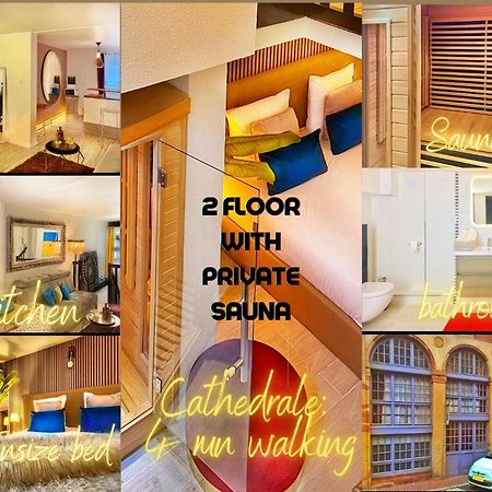 Apartment Duplex With Sauna City- Center Cathedrale Strasbourg Ngoại thất bức ảnh